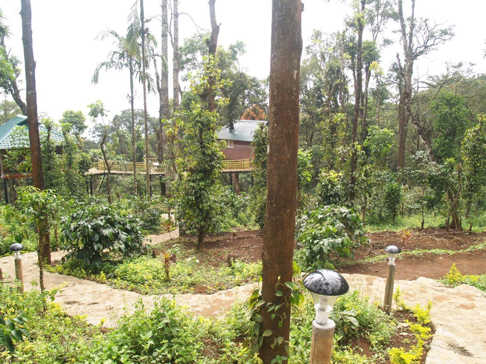 Hotel Sitaram Mountain Retreat Munnar Exterior foto